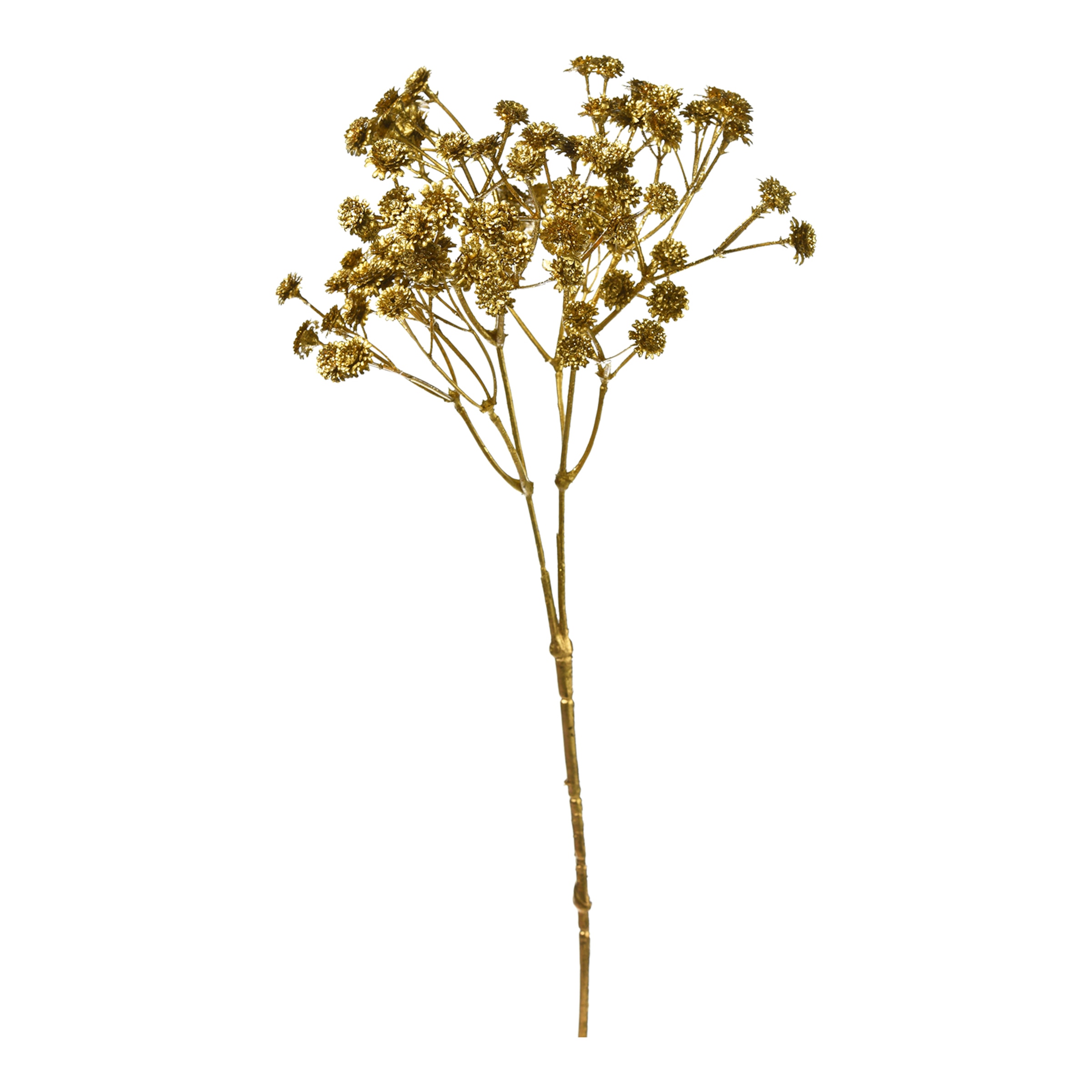 gold, L 30 cm