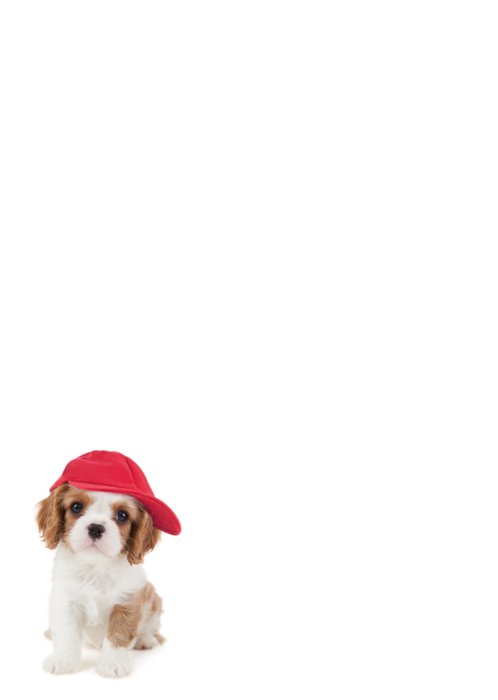 Studio Pets | Geboortekaart | Oom
