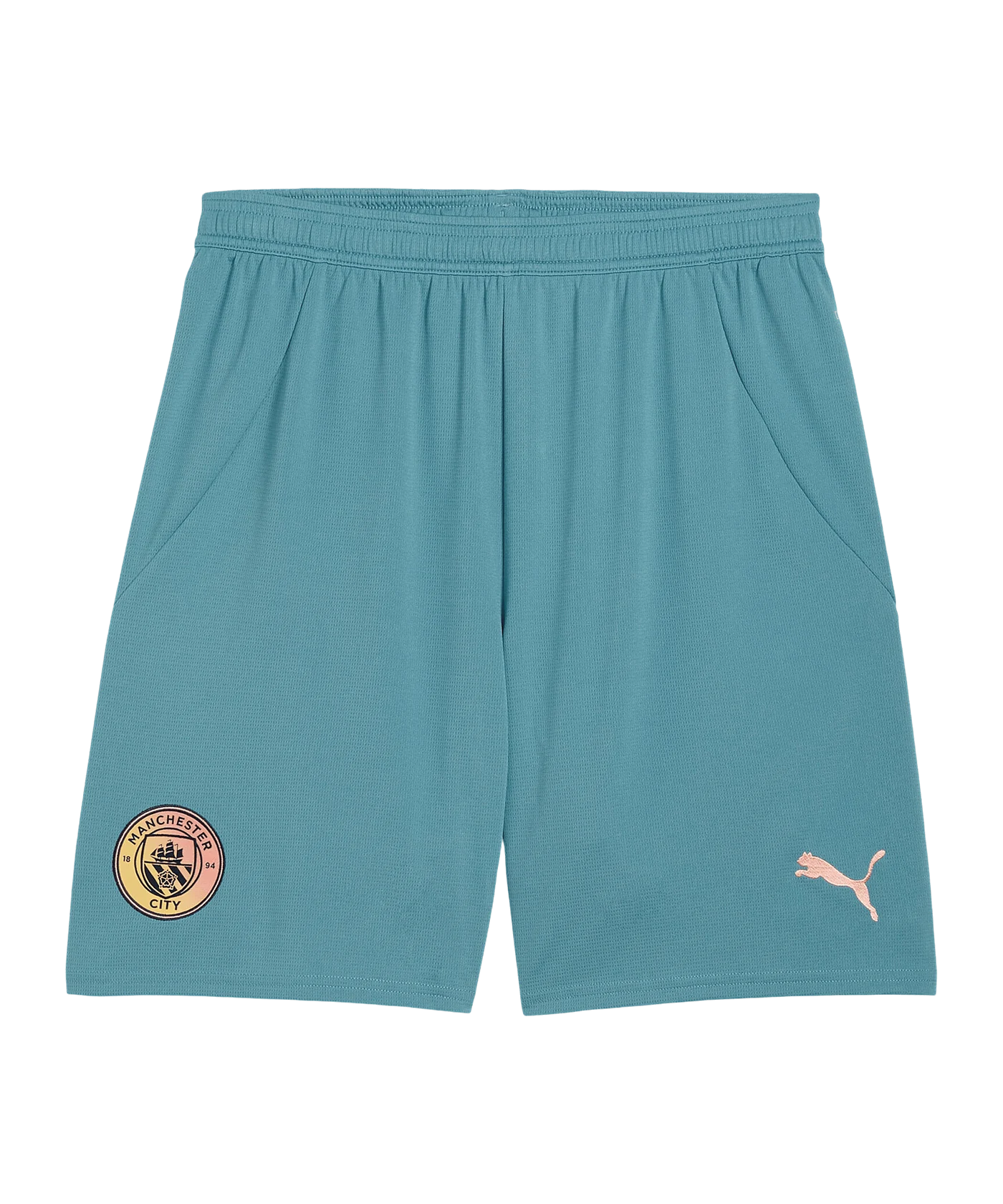 PUMA Manchester City Short 2024/2025 Blau F08