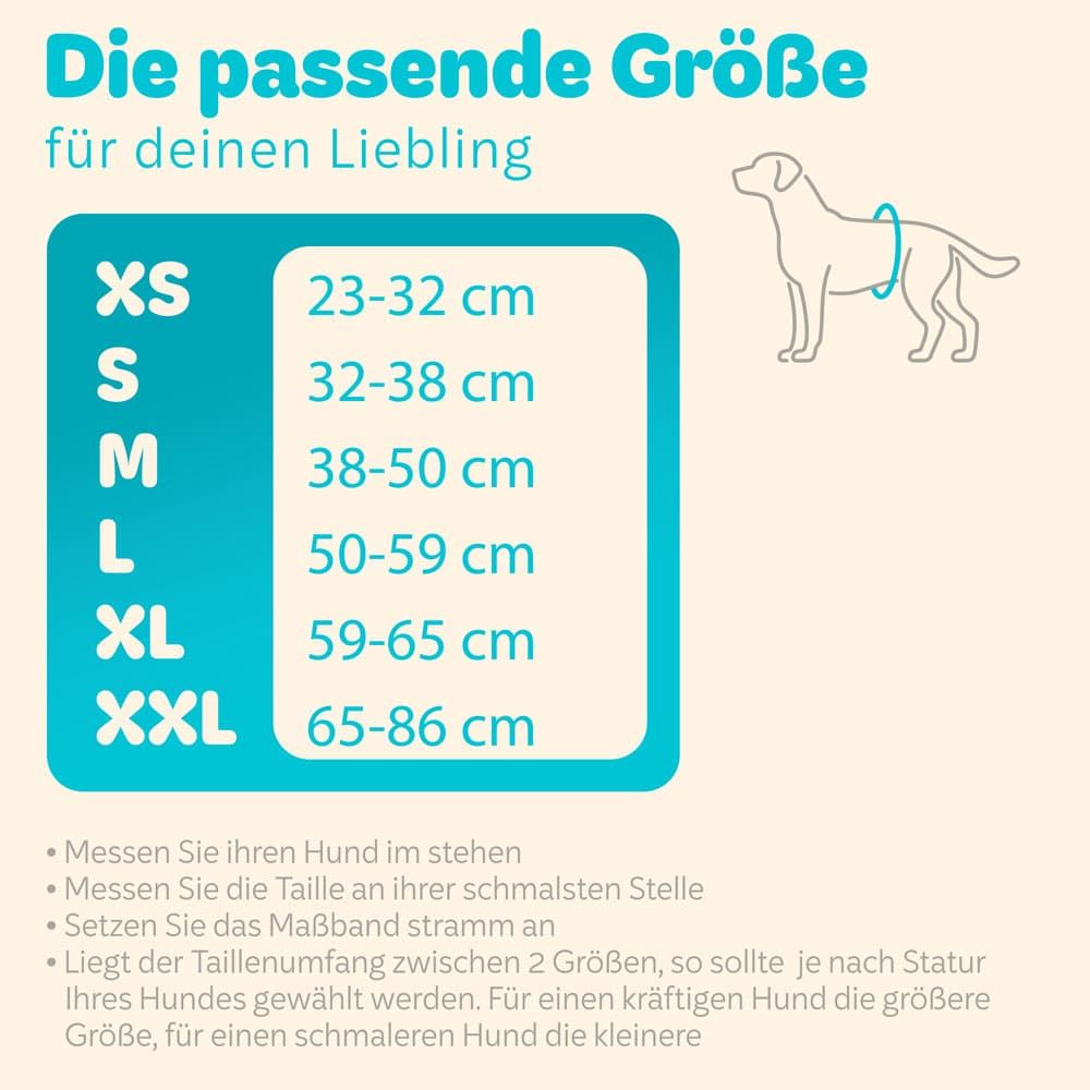 HUND IST KÖNIG® Hundewindeln für Rüden