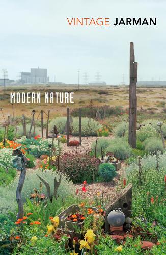 Modern Nature: Journals, 1989 1990 - The Journals of Derek Jarman (Paperback)