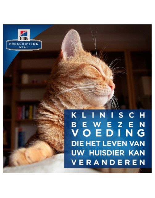 Hill's Prescription Diet K\/D Kidney Care Maaltijdzakjes - Kattenvoer - Zalm 12x85 g