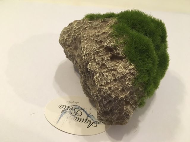 Aqua D'ella Mossteen met zuignappen