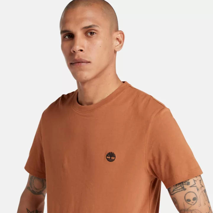 Camiseta Dunstan River Crewneck Masculina na cor marrom