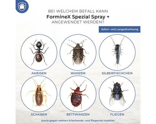 Forminex Protect Home 400 ml speciale spray tegen wespen, insecten en kakkerlakken
