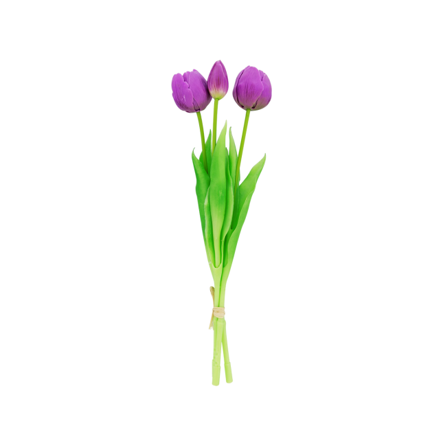 Set de 3 tulipes fermées - Tulipes