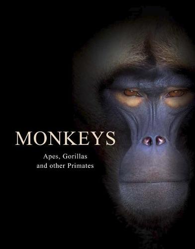 Monkeys: Apes, Gorillas and other Primates - Animals (Hardback)
