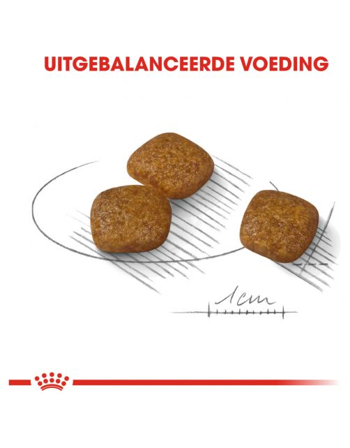 Royal Canin Urinary Care Mini - Hondenvoer
