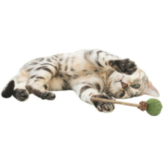 Jouet pour chat sucette au matatabi