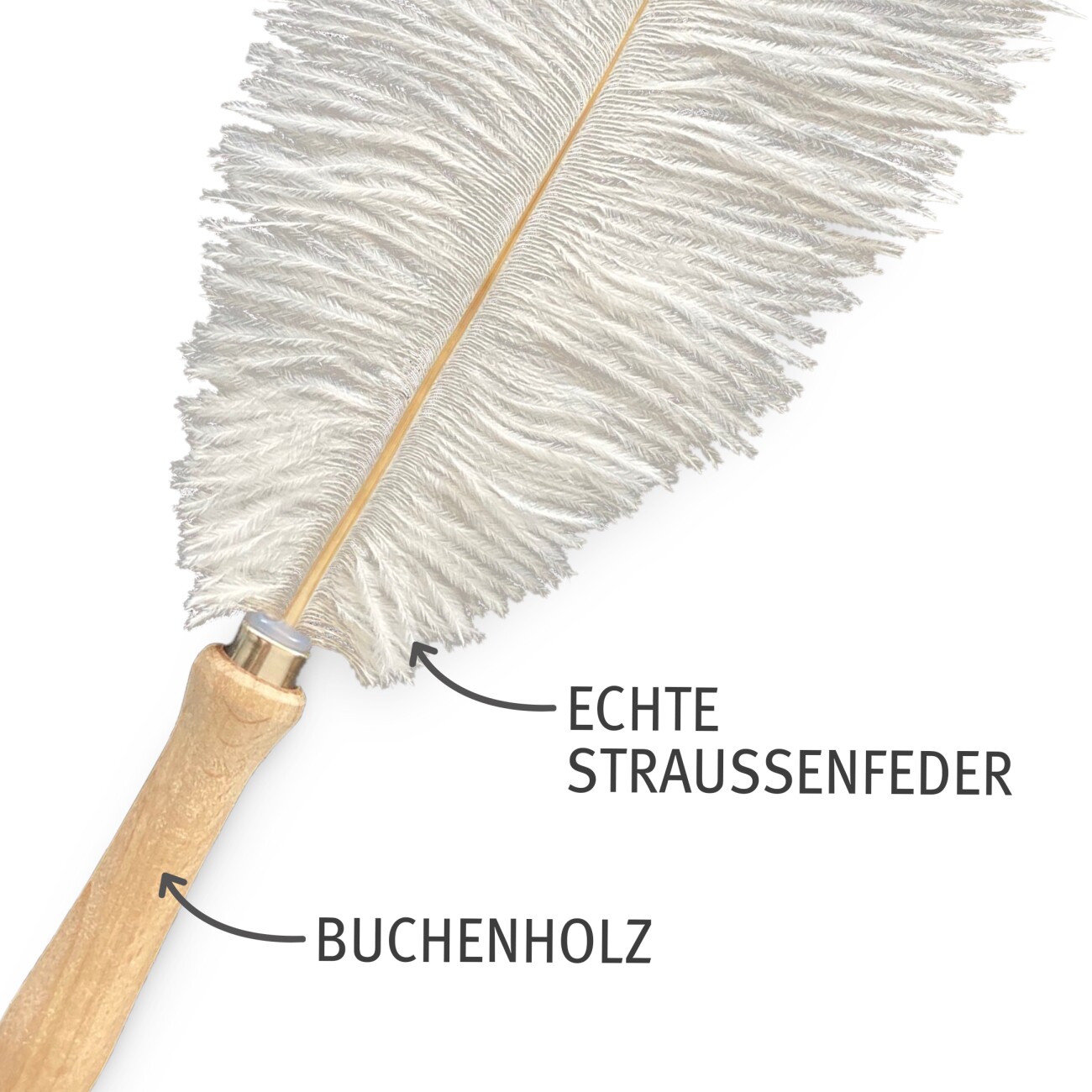 Kater Kasimir Federwedel für Katzen mit einer echten Straußenfeder