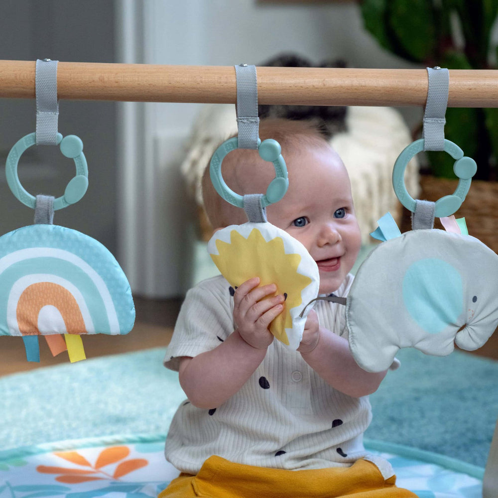 Køb Ingenuity Sun Valley™ Wooden Legetøj Aktivitetsbue & Play Mat