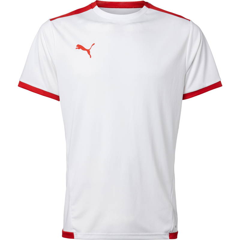 Puma teamLIGA Trænings T-shirt Herre