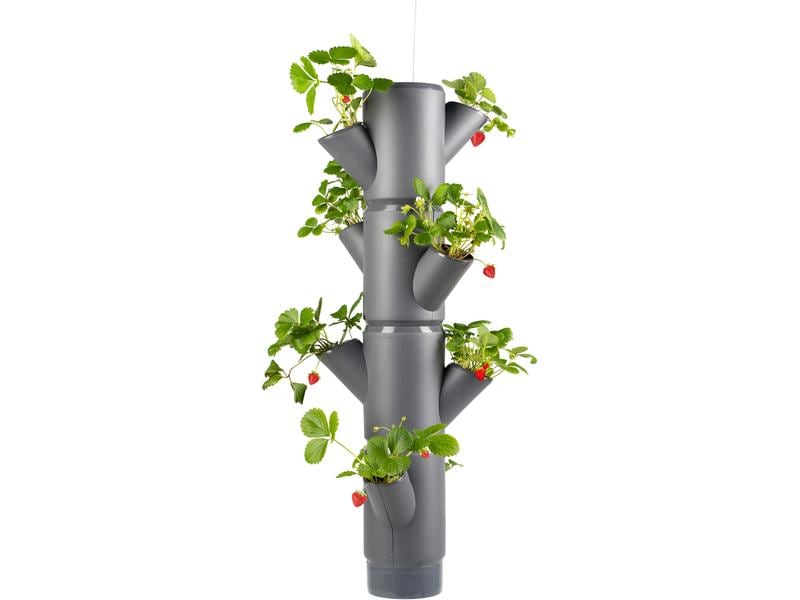 Gusta Garden Aufzuchttöpfe SISSI STRAWBERRY Hanging, Anthra Urban Gardening Erdbeerbaum