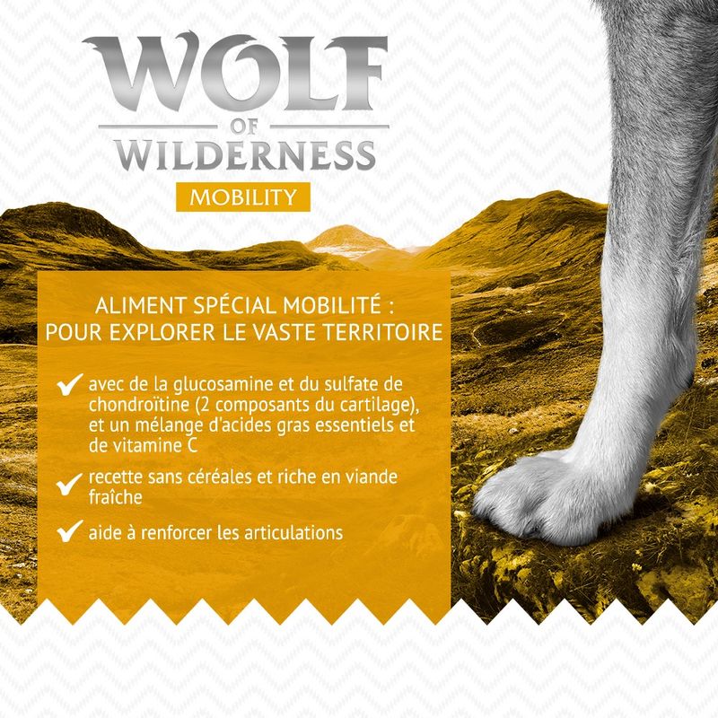 Wolf of Wilderness Explore The Endless Terrain Mobility pour chien