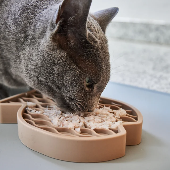 MiaCara - Pesce Beschäftigungsspielzeug für Katzen, greige