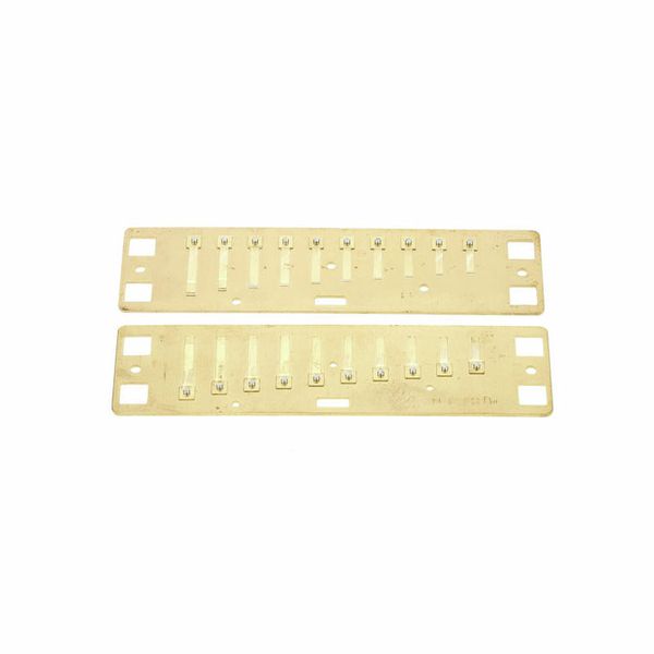 Lee Oskar Harmonic Minor Reedplates D