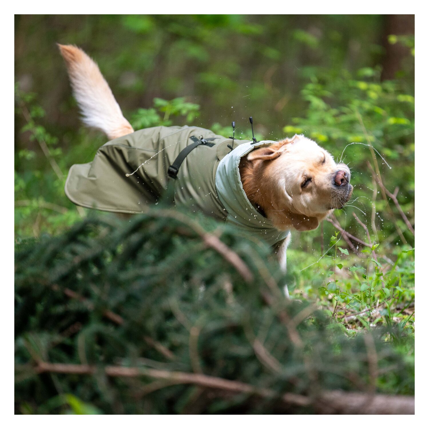 pawberry Hunde-Wintermantel Random - smokey olive