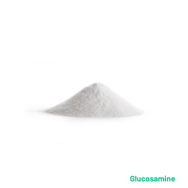 Glucosamine-Chondroitine 400-400 mg Dierapotheker.nl Huismerk 60 tabletten