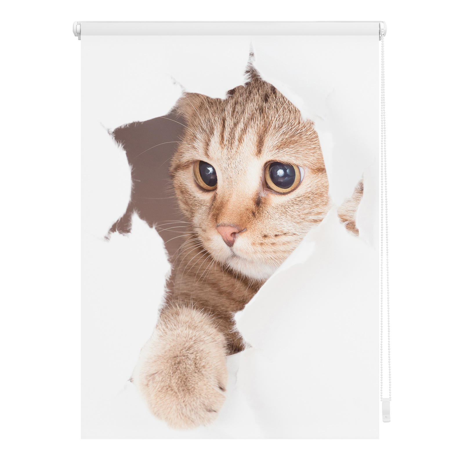 LICHTBLICK Verdunklungsrollo Katze - weiß-braun - 45x150 cm