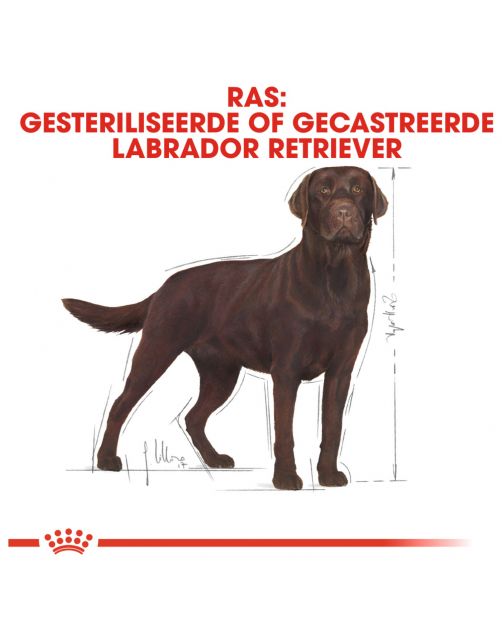Royal Canin Labrador Retriever Sterilised Adult - Hondenvoer
