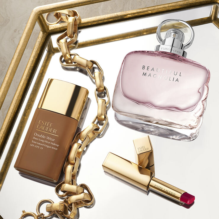 Estée Lauder Double Wear Sheer Matte Long Wear Makeup