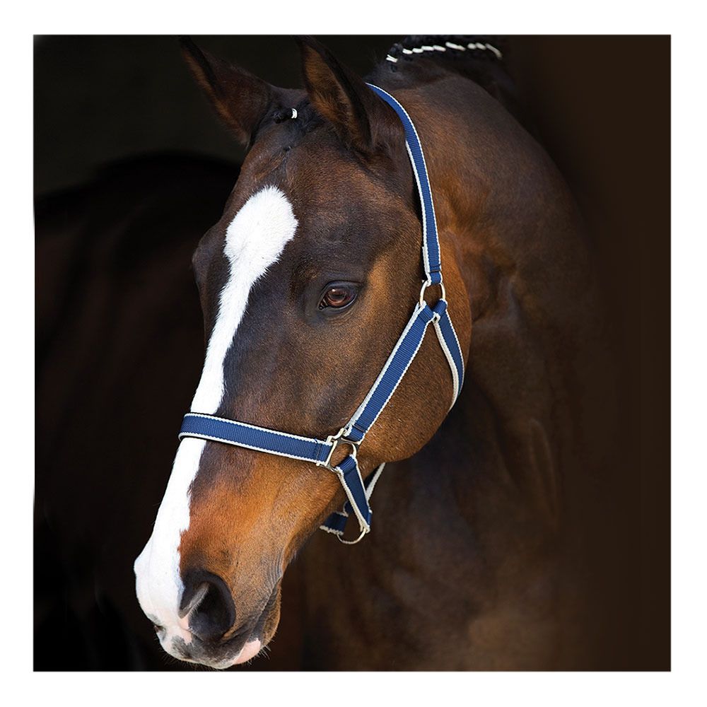 Horseware AMIGO - Licol navy/silver