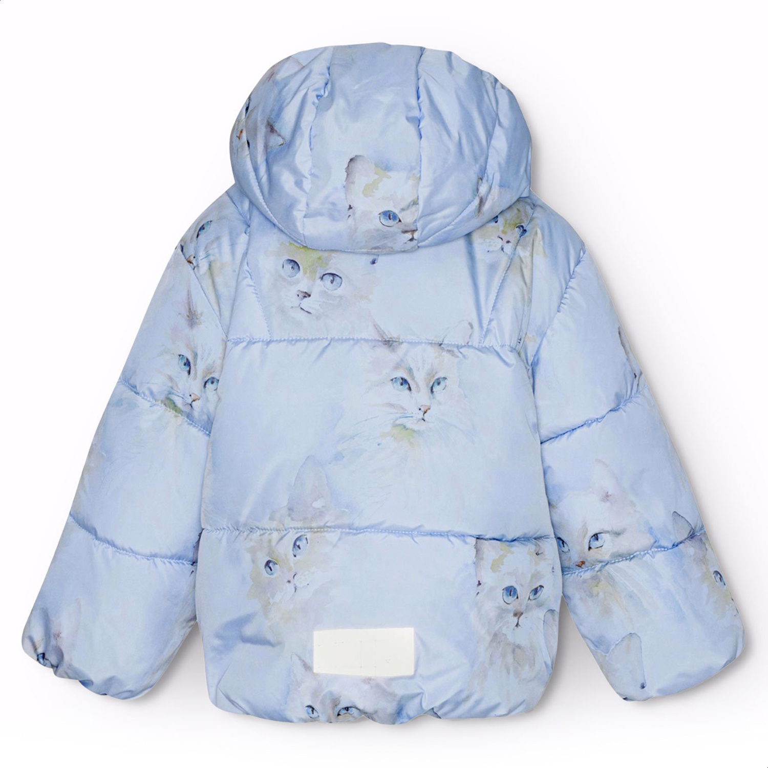 Harpo - Aquarelle Blue
