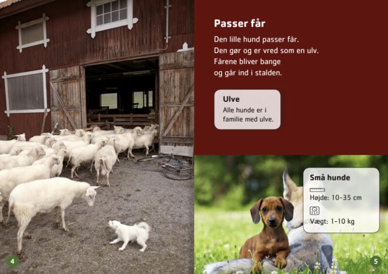 Små Hunde På Job - Marianne Randel Søndergaard - Bog