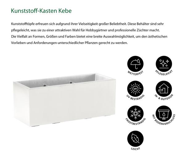 Dehner Kunststoff-Kasten Kebe, rechteckig, ca.