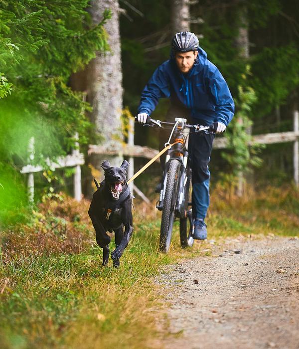Non-stop dogwear Bikeantenne für Hundeleinen,