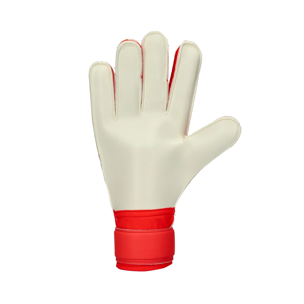 Luvas adidas Predator Training