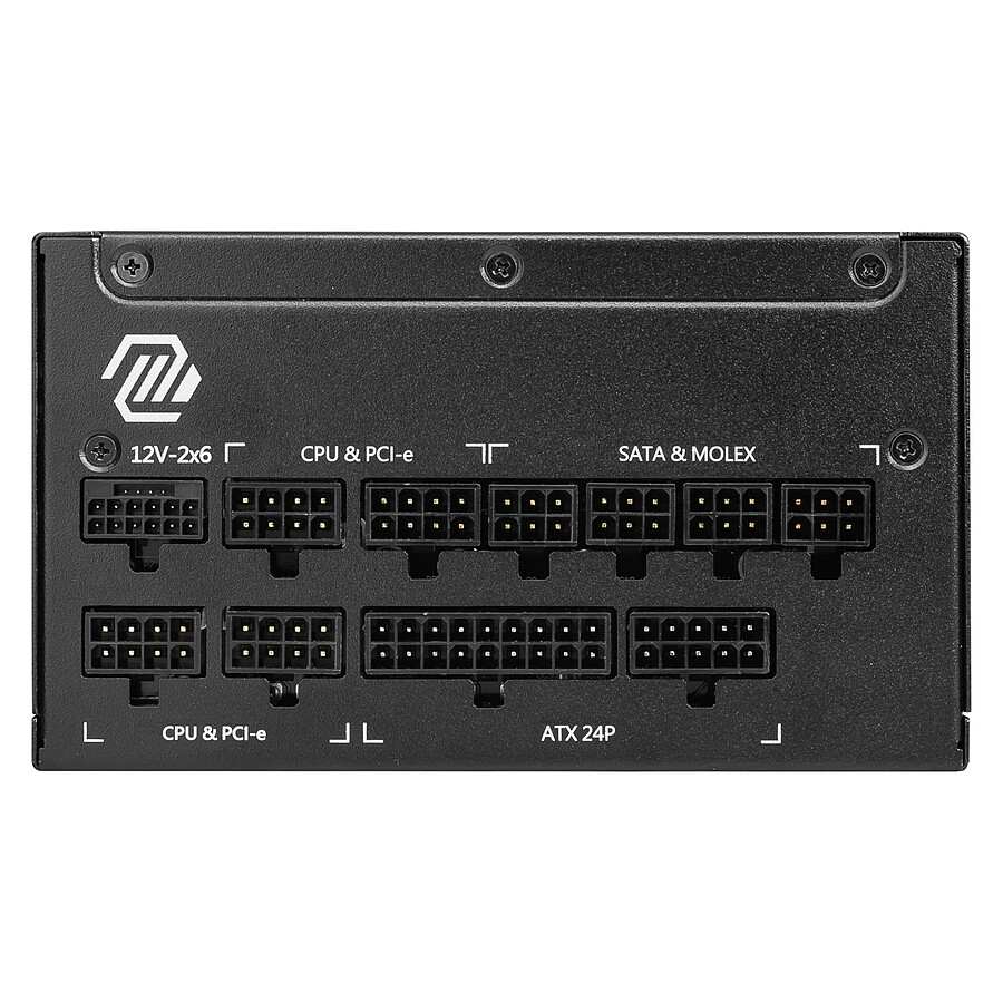 MSI MAG A1250GL PCIE5