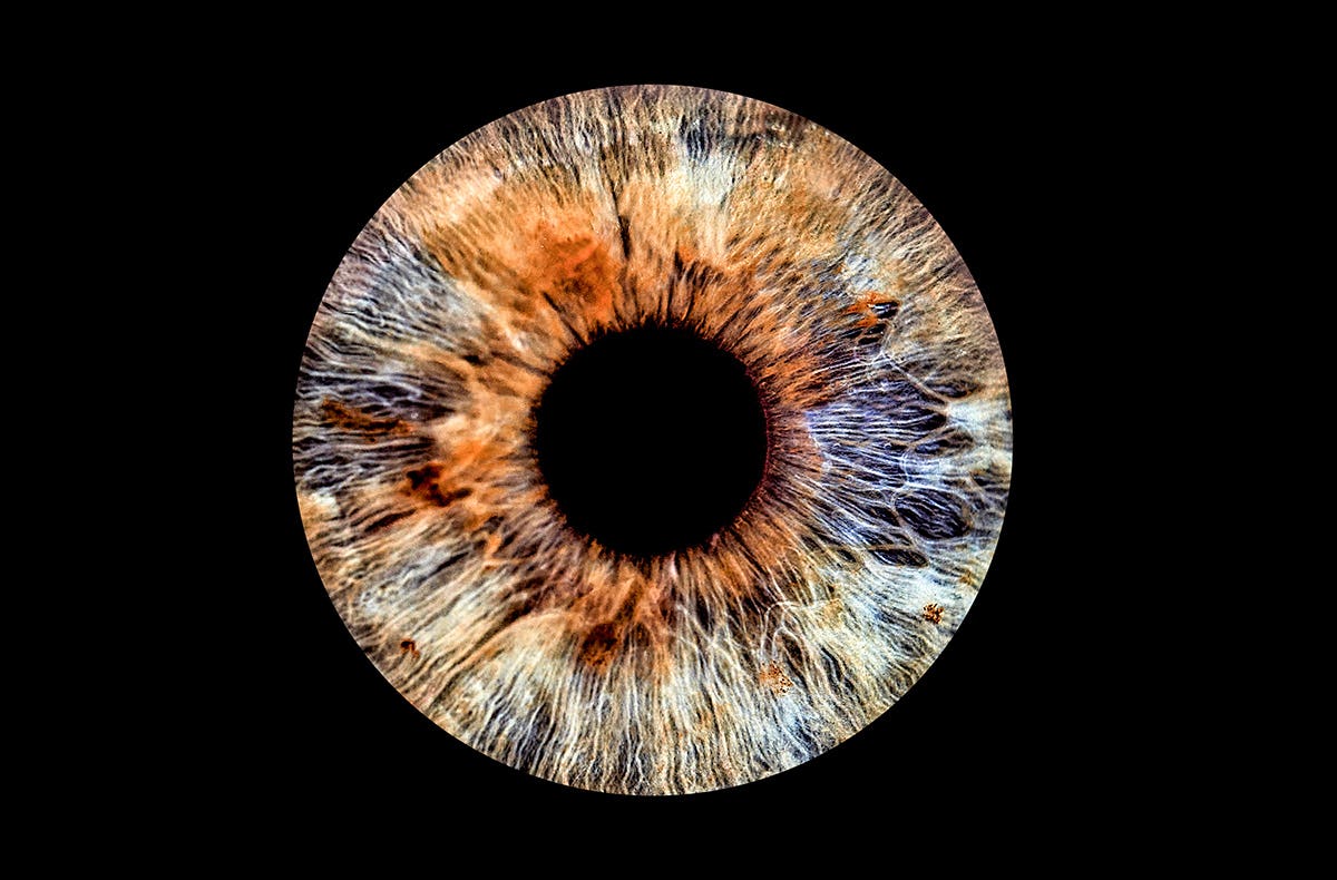 Iris Fotografie Haßfurt