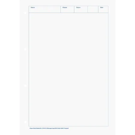 BRUNNEN Kieser-Block A4, 50 Blatt, gelocht, Lineatur 20, blanko