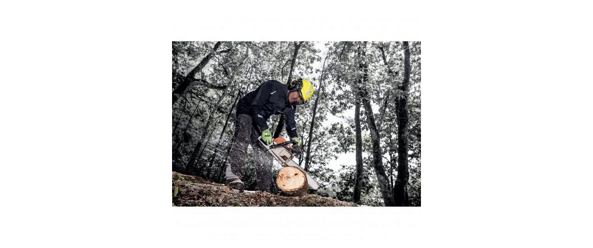 Schutzhelm Pheos Forestry, Gelb<br>Forsthelm Komplettset