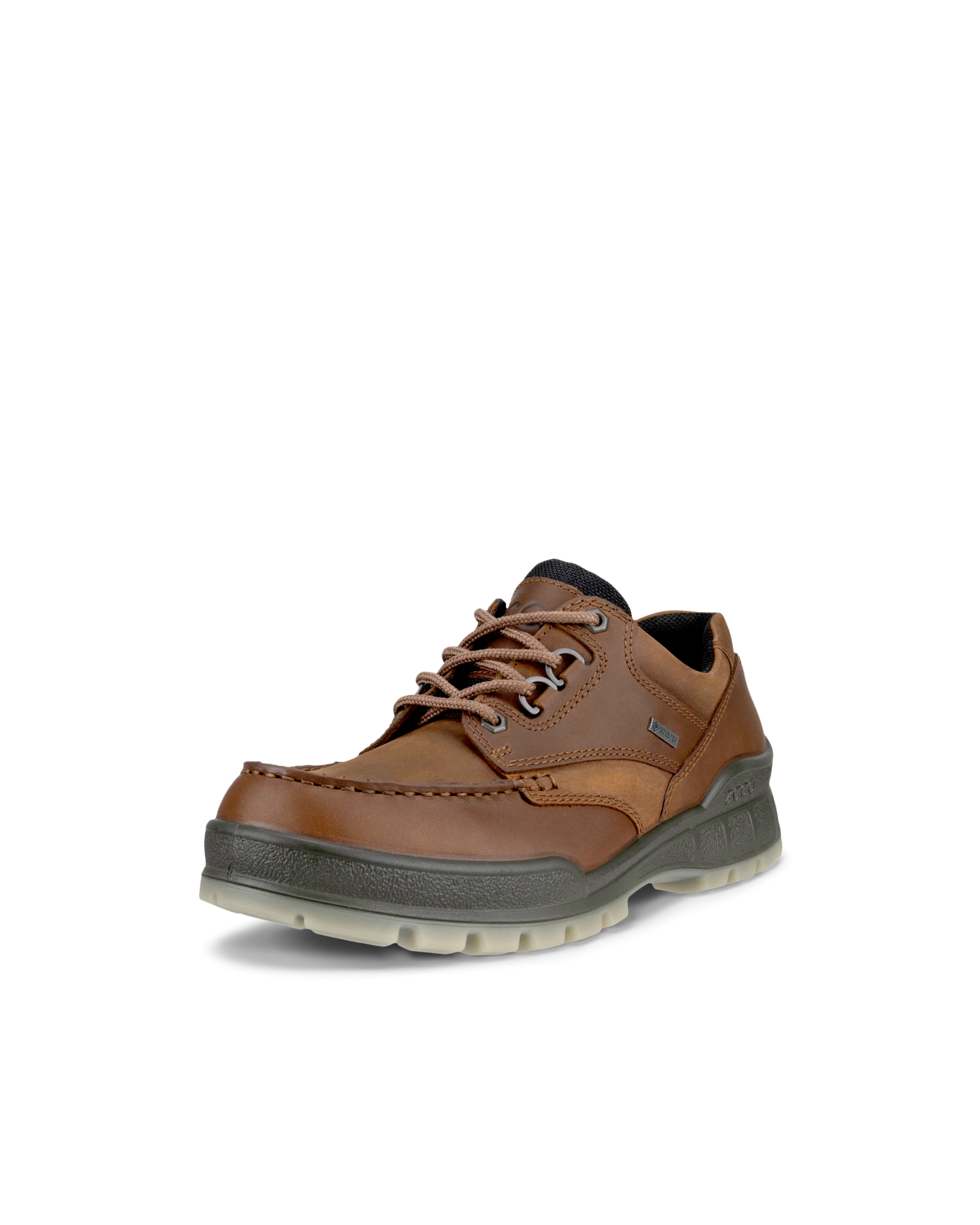 ECCO TRACK 25 M Herren Gore-Tex Schuh aus Leder Braun