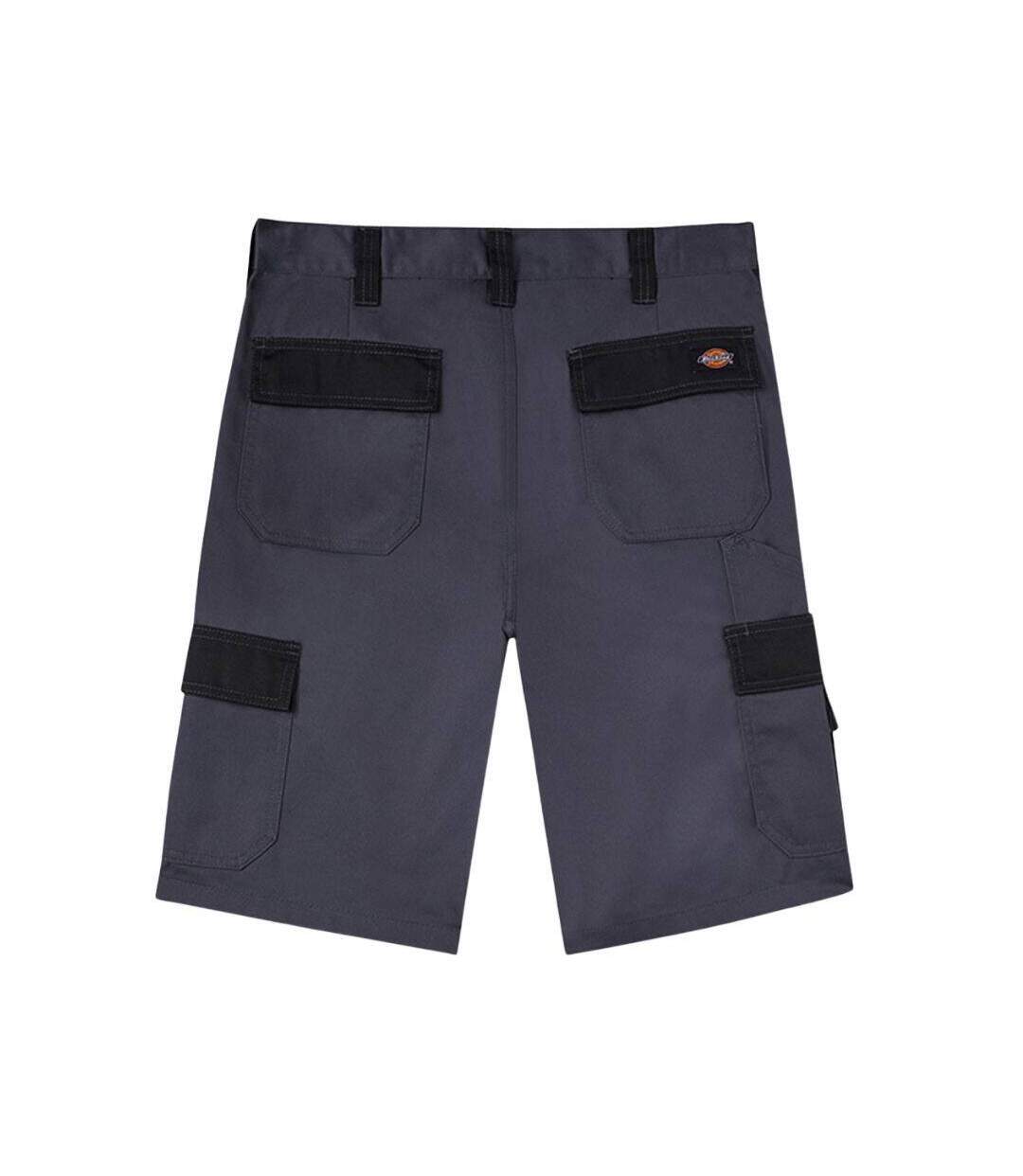 Short  Dickies Everyday