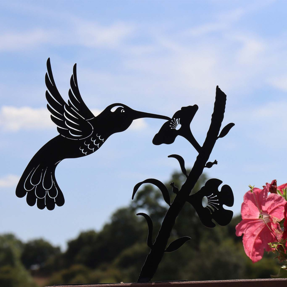 Silhouette sur pique en acier noir colibri