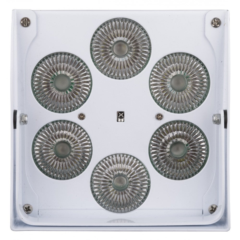 JB systems Accu Color LED projector