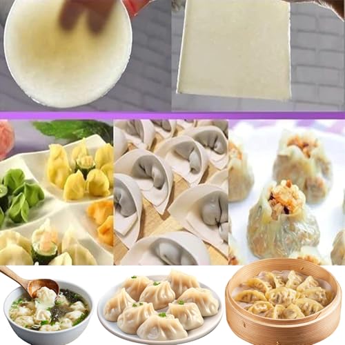 Machine à raviolis Automatique, Presse à raviolis électrique 140 W avec Moule d'emballage de raviolis, 60 pièces/Min, Moule Rond en Acier Inoxydable, Traitement de la pâte, laminoir pour Restaurants : Cuisine et Maison