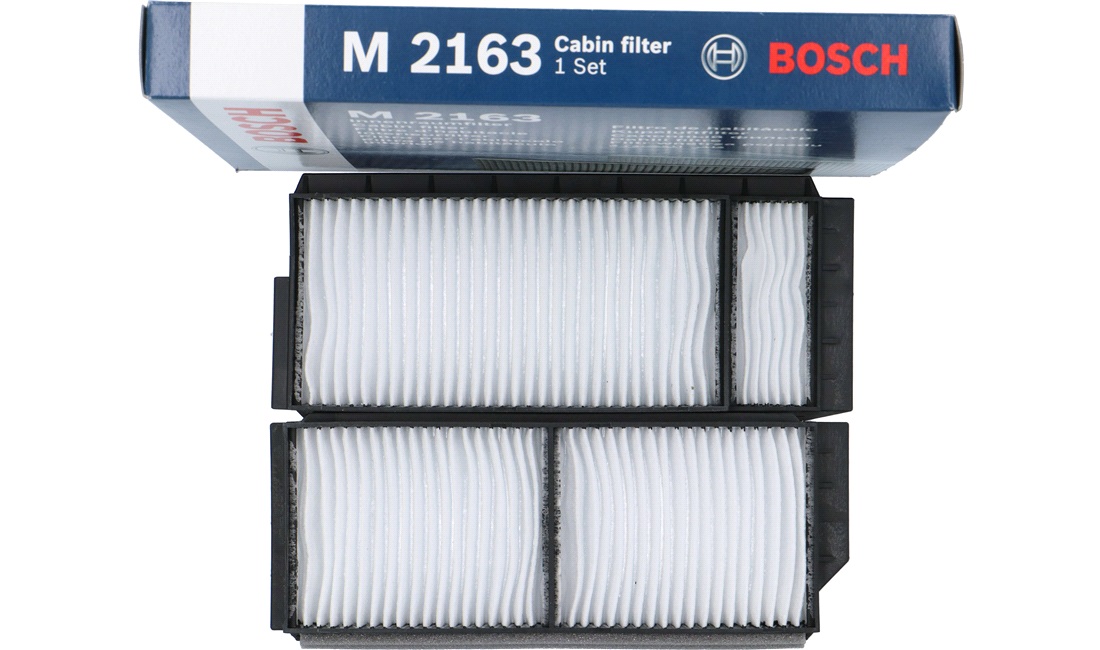 Pollenfilter, Pollenfilter