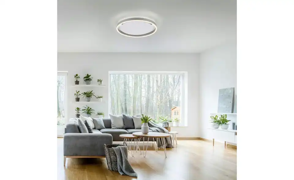 Paul Neuhaus LED Deckenleuchte