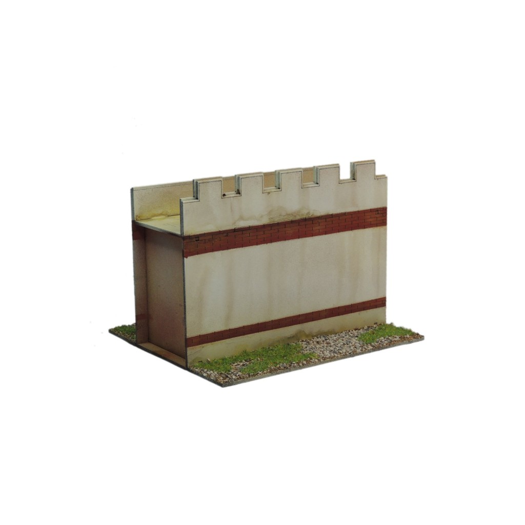 Town Wall Short