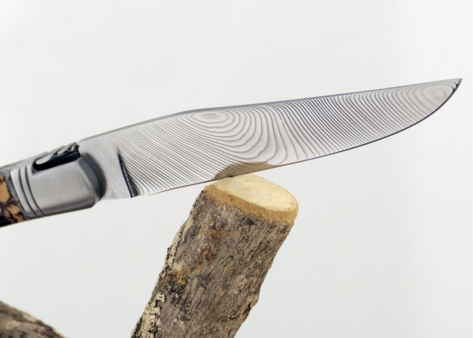 Couteau Laguiole avec un manche en Molaire de Mammouth Fossile