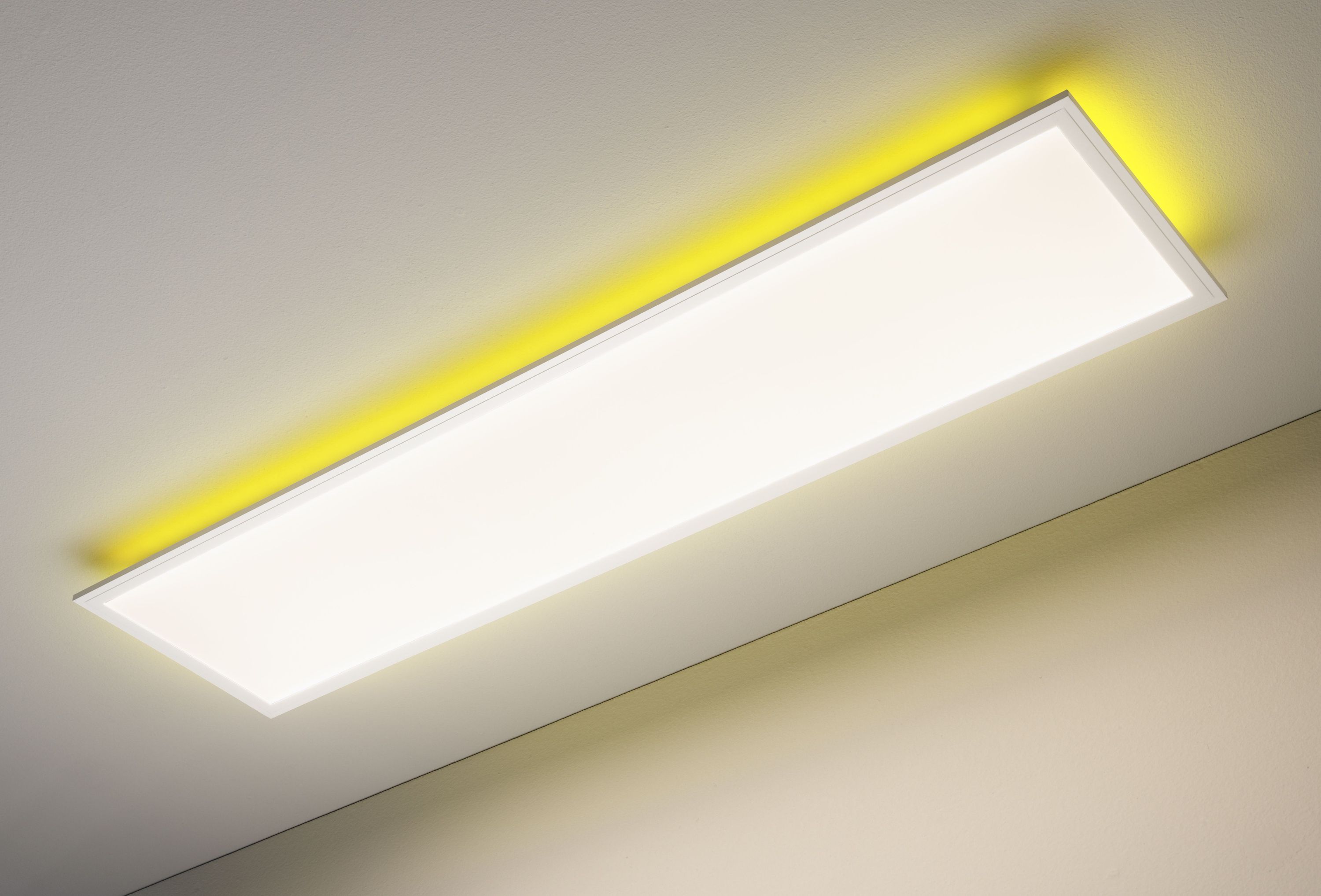Panel COLORES