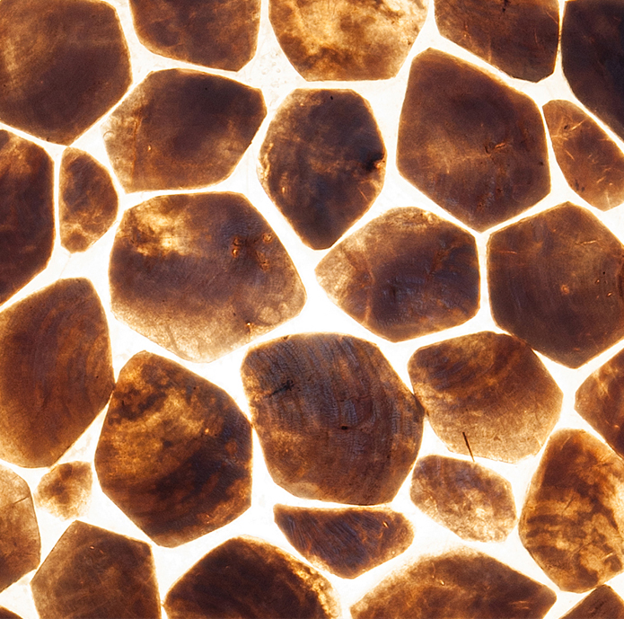 Vloerlamp apollo turtle gold capiz schelp 70 cm