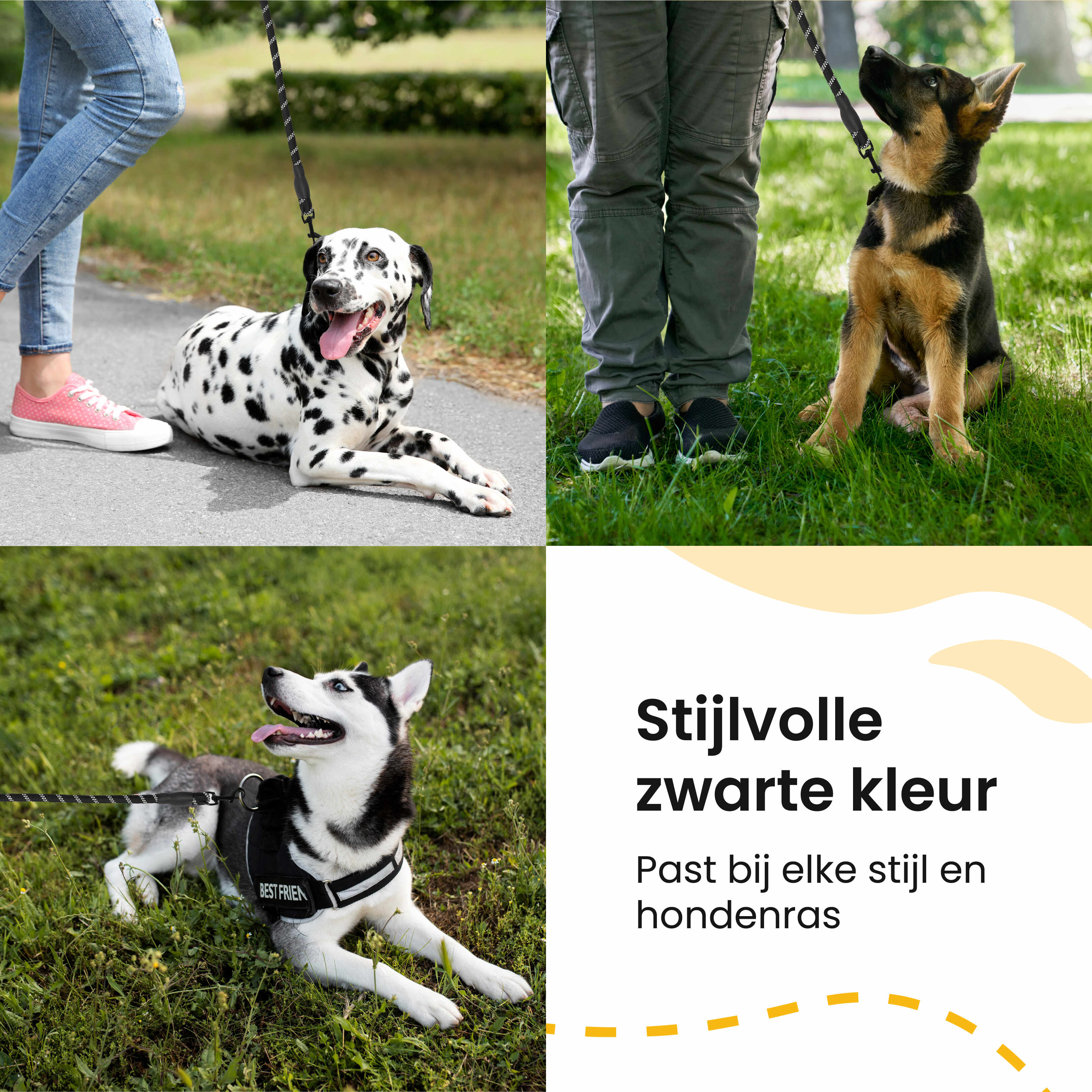 All 4 Pets Supply reflecterende hondenriem - 3 Meter