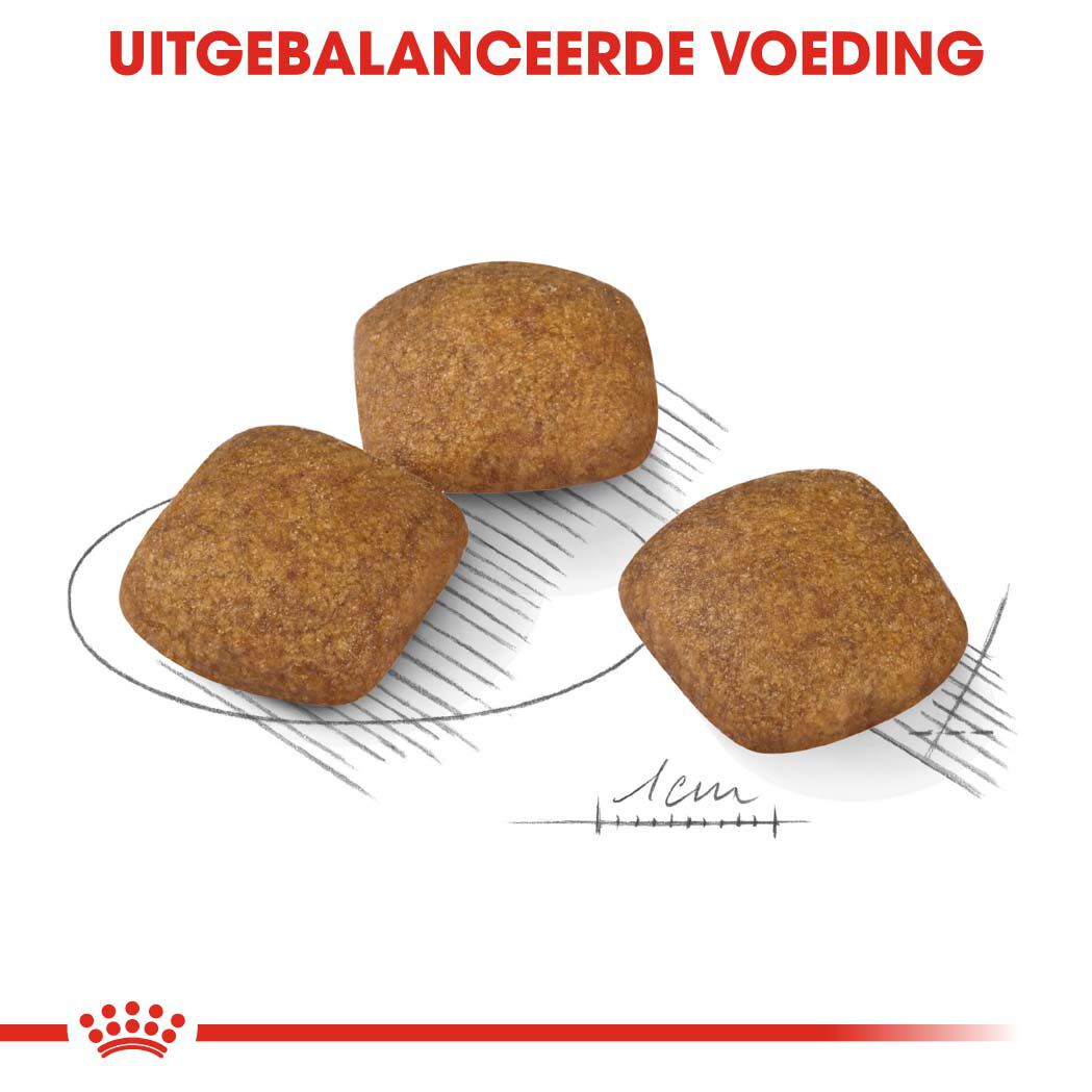 Royal Canin Relax Care Medium - Hondenvoer - 10 Kilogram - gevogelte