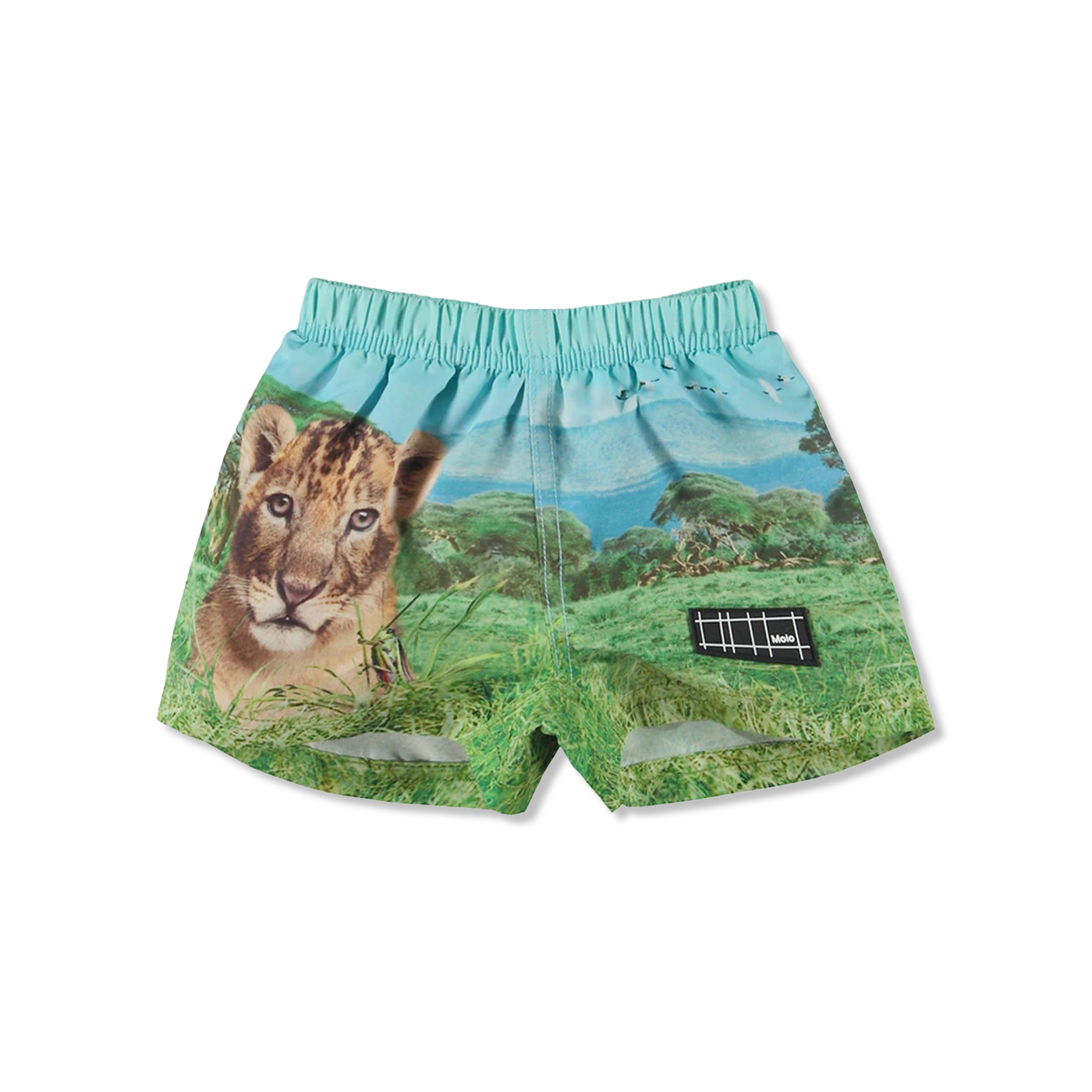 Newton badeshorts