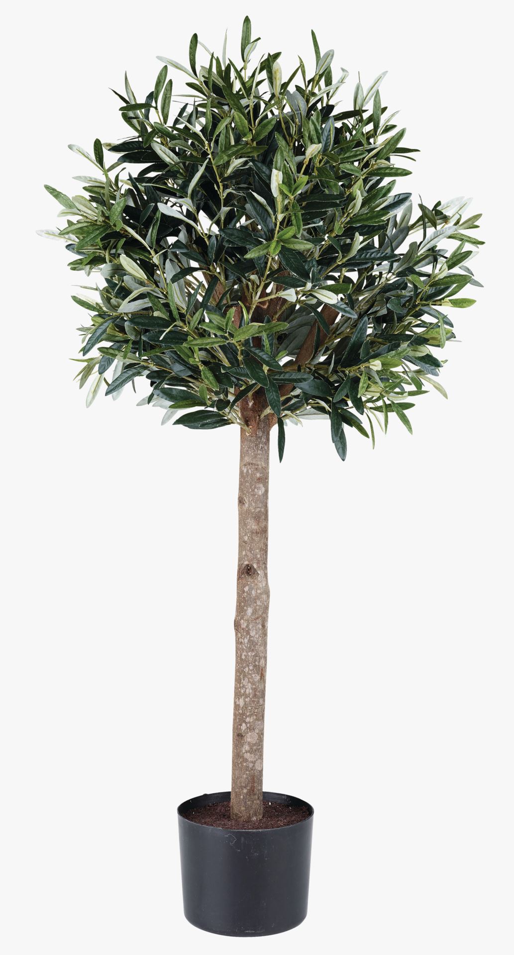 Plante grønn - 90 cm